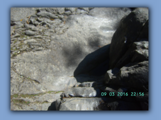 BILD1645.JPG