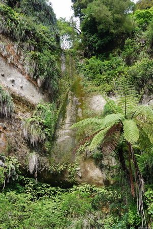 Waimanganui River Road, Wasserfall