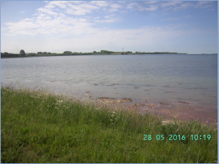 BILD4019.jpg