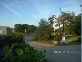 BILD4155.jpg