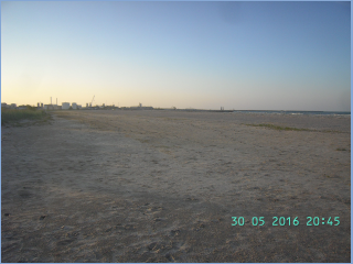 BILD4159.jpg