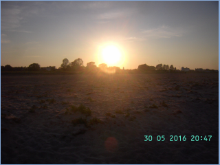 BILD4163.jpg