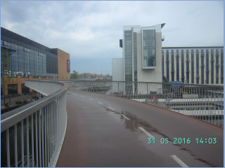 BILD4180.jpg