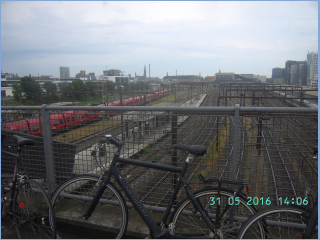 BILD4181.jpg