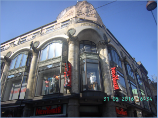 BILD4219.jpg
