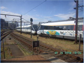 BILD4294.jpg
