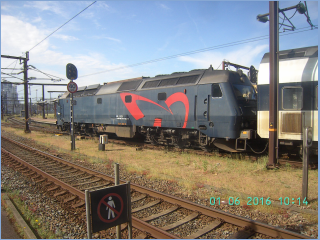 BILD4300.jpg