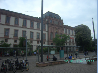BILD2997.jpg
