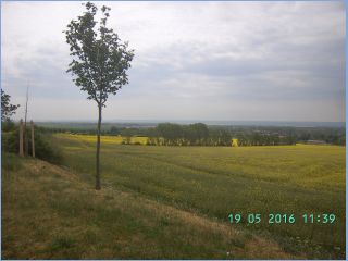 BILD3284.jpg