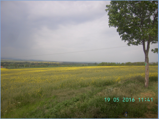 BILD3288.jpg