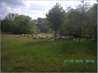 BILD3419.jpg