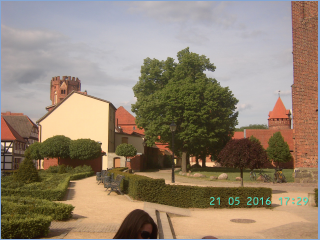 BILD3463.jpg