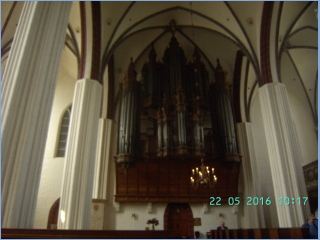 BILD3526.jpg