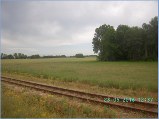 BILD3621.jpg