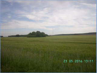BILD3638.jpg
