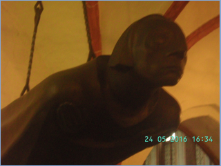 BILD3712.jpg