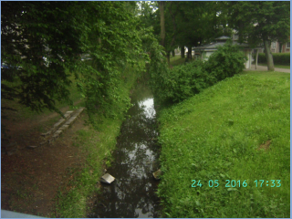 BILD3729.jpg