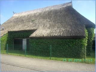 BILD3771.jpg