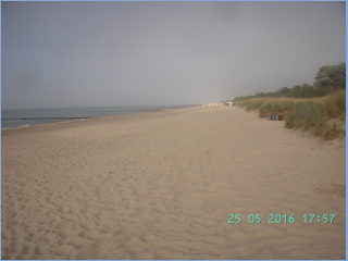 BILD3772.jpg