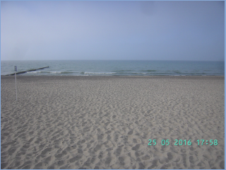 BILD3774.jpg