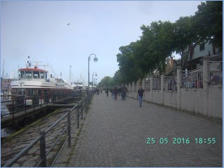BILD3785.jpg
