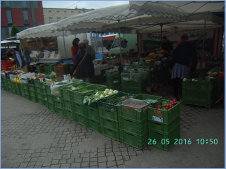 BILD3812.jpg