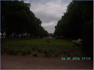 BILD3905.jpg