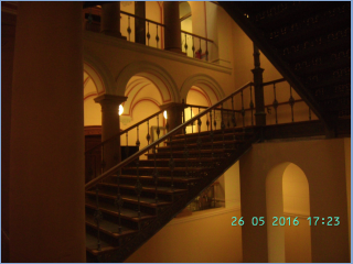 BILD3913.jpg