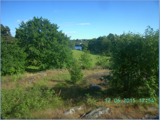 BILD5157.jpg