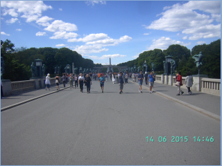 BILD5332.jpg