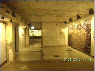 BILD5418.jpg