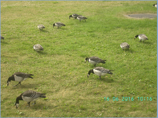 BILD5511.jpg