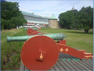 BILD5514.jpg