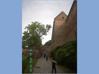 BILD5521.jpg