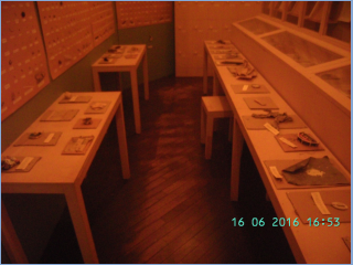 BILD5570.jpg