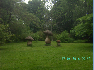 BILD5594.jpg