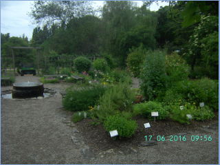 BILD5596.jpg
