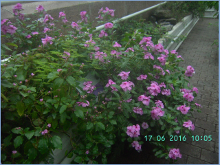 BILD5598.jpg
