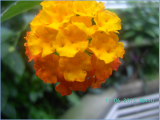BILD5604.jpg