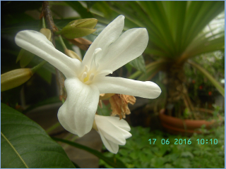 BILD5605.jpg