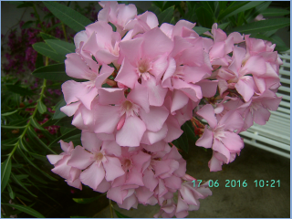 BILD5617.jpg