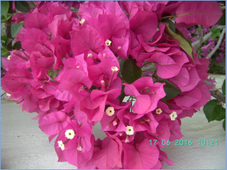 BILD5618.jpg
