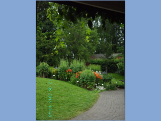 BILD5623.jpg