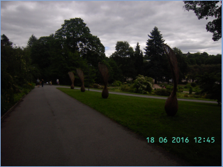 BILD5686.jpg
