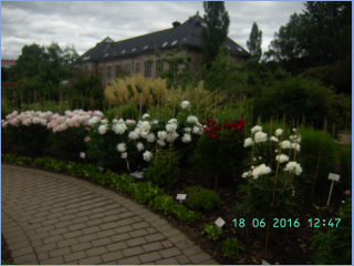 BILD5688.jpg