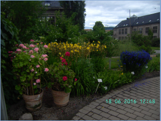 BILD5690.jpg
