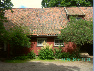 BILD5718.jpg
