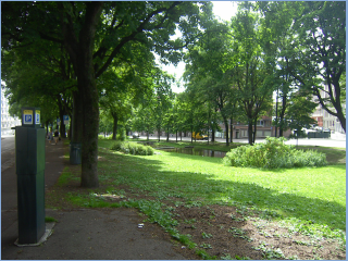 BILD5737.jpg