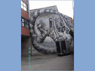 BILD5751.jpg