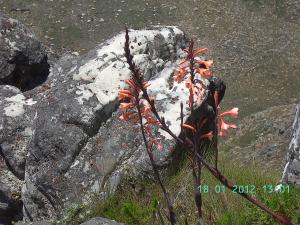 thumbs/bild3757.jpg